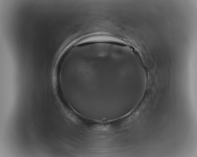 X0000114610247200910201158