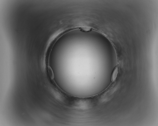 X0000114610248200910201158