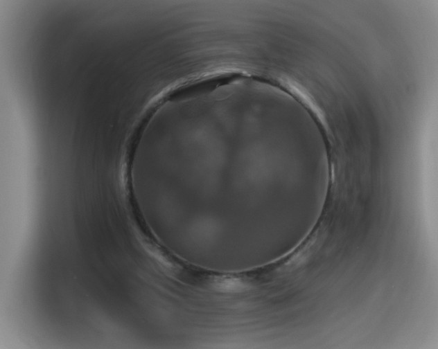 X0000114610249200910201158