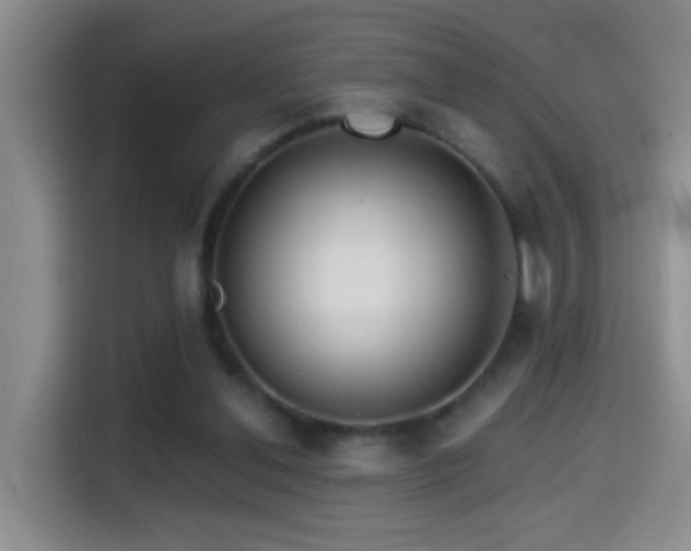 X0000114610252200910201158