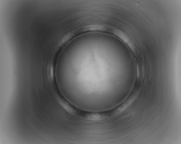 X0000114610253200910201158