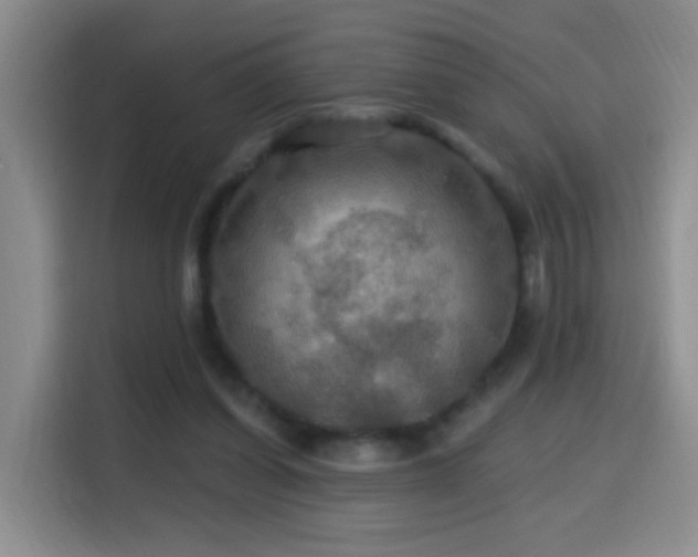 X0000114610254200910201158