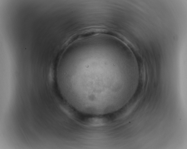 X0000114610255200910201158