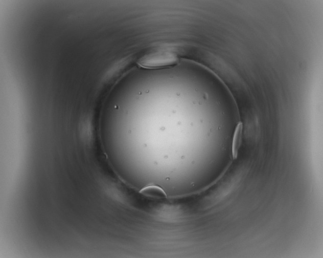 X0000114610256200910201158