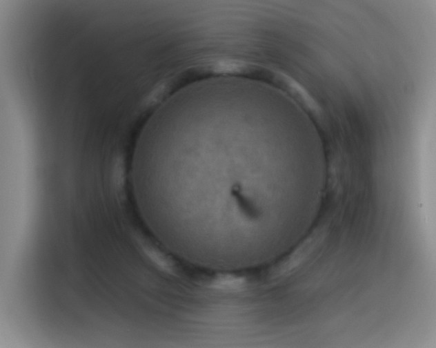 X0000114610257200910201158