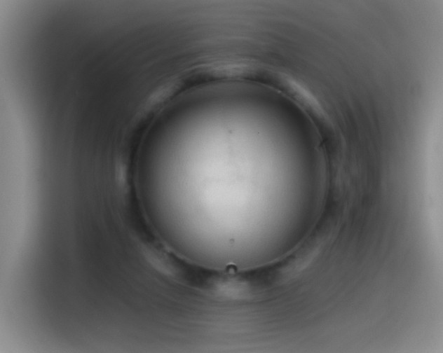 X0000114610258200910201158