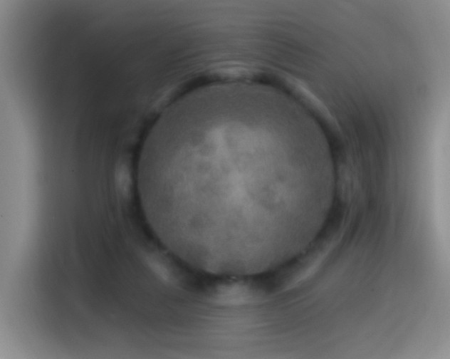 X0000114610259200910201158