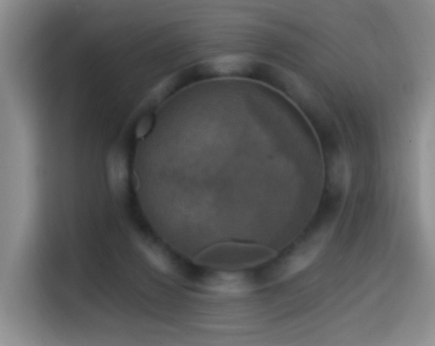 X0000114610260200910201158