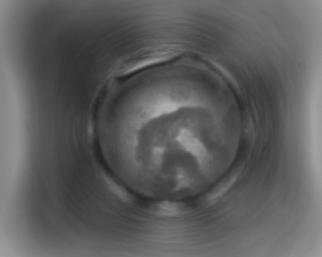 X0000114610261200910201158