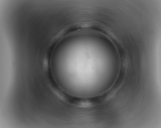 X0000114610262200910201158