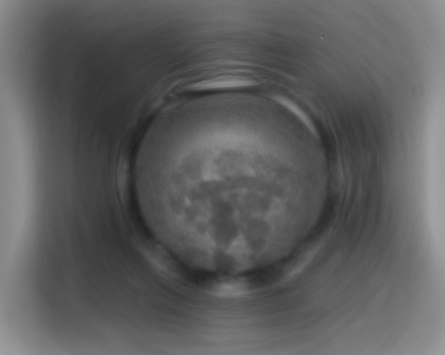 X0000114610263200910201158