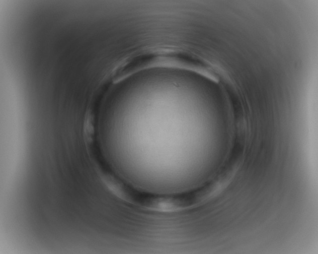 X0000114610264200910201158