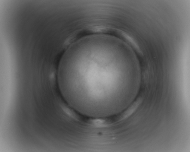 X0000114610265200910201158