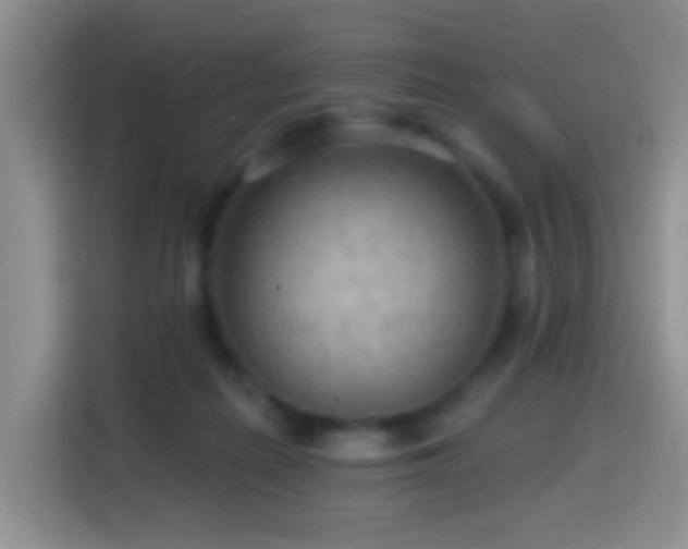 X0000114610266200910201158