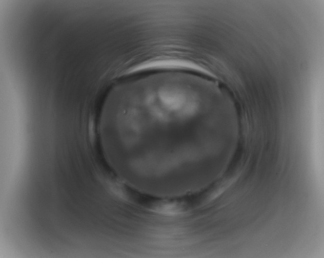 X0000114610267200910201158