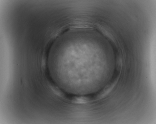 X0000114610268200910201158