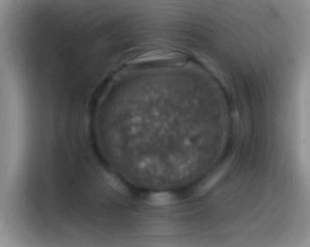 X0000114610269200910201158