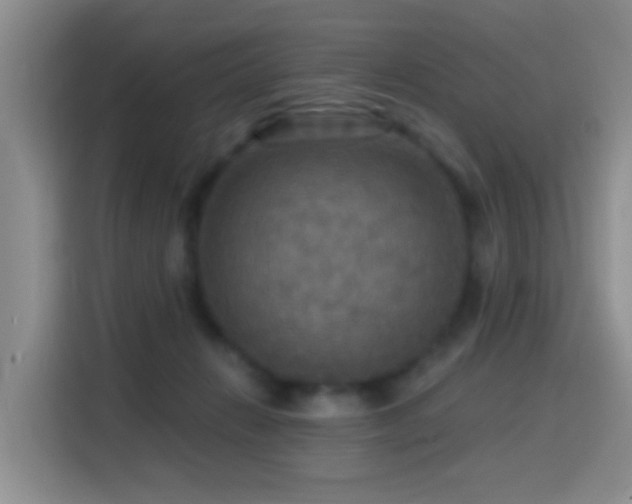 X0000114610270200910201158