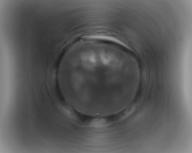 X0000114610271200910201158