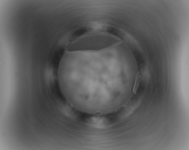 X0000114610272200910201158