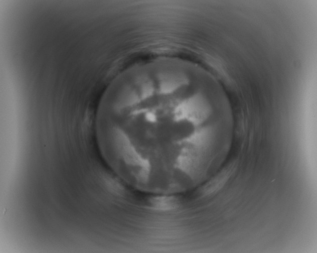 X0000114610273200910201158