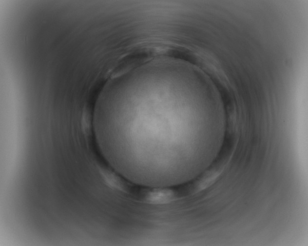 X0000114610274200910201158