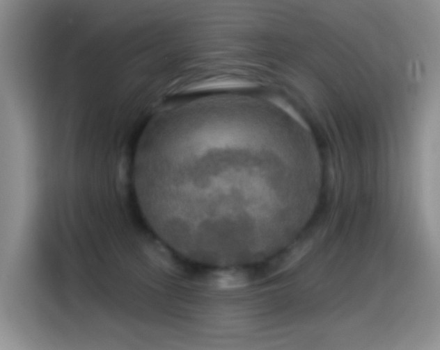 X0000114610275200910201158