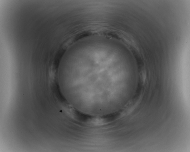 X0000114610276200910201158