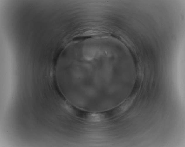 X0000114610277200910201158