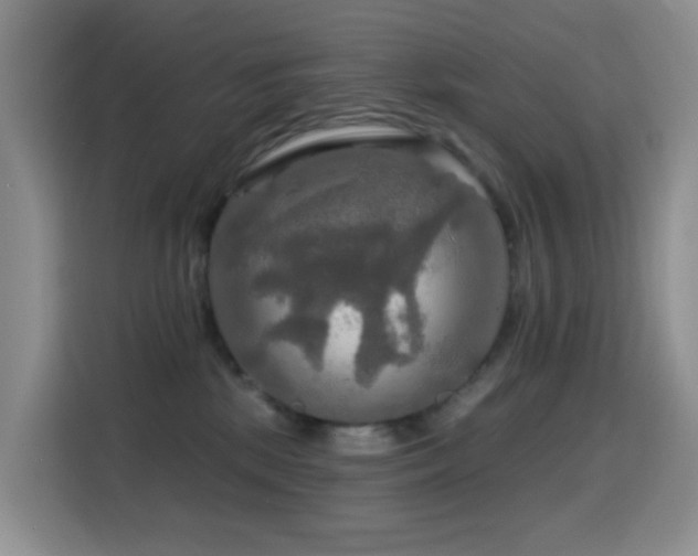 X0000114610281200910201158