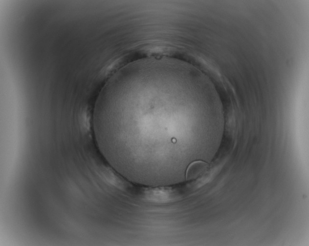 X0000114610282200910201158