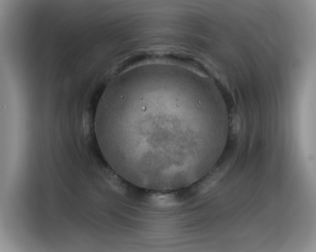 X0000114610283200910201158