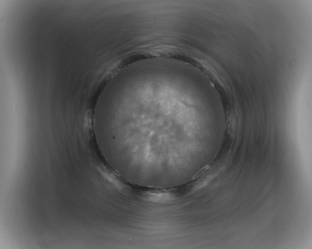 X0000114610284200910201158