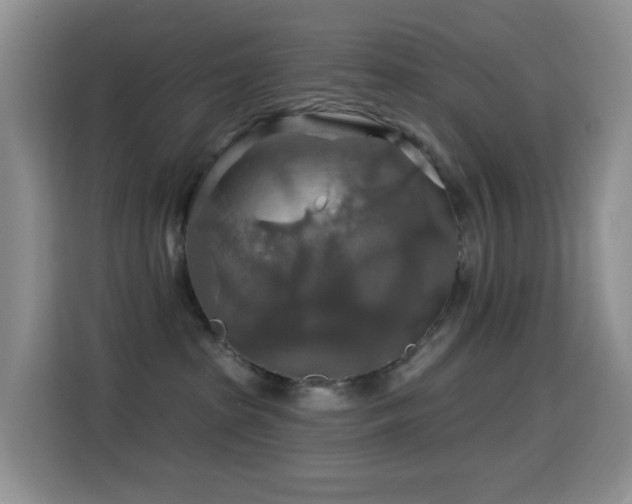 X0000114610285200910201158