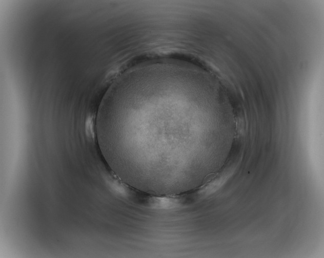 X0000114610286200910201159