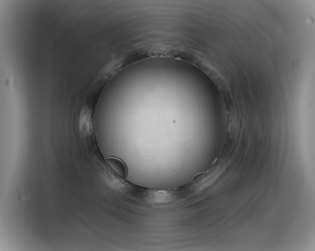 X0000114610287200910201159