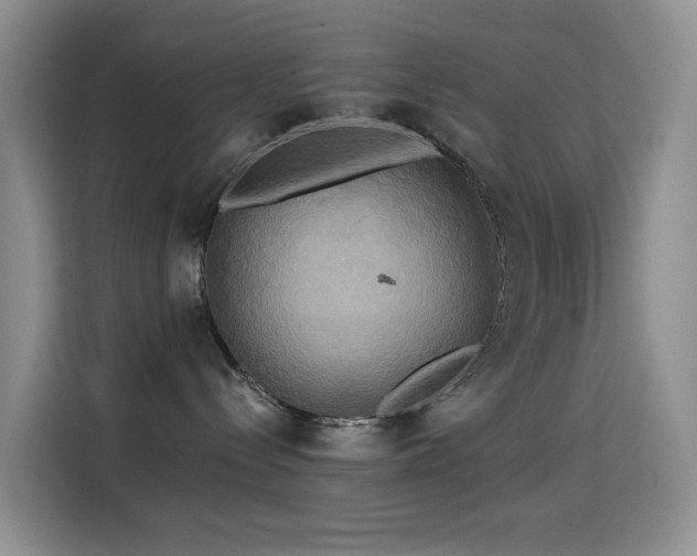 X0000114610288200910201159