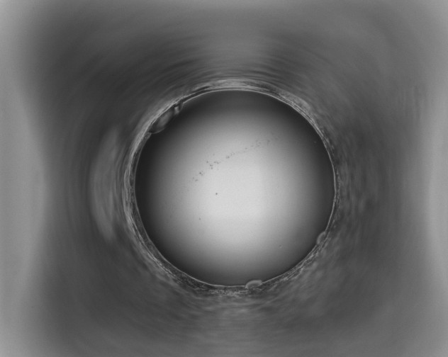 X0000114610289200910201158