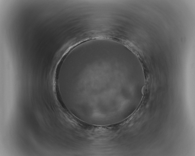 X0000114610290200910201158