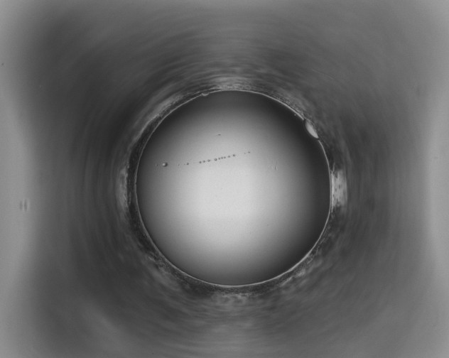 X0000114610291200910201158