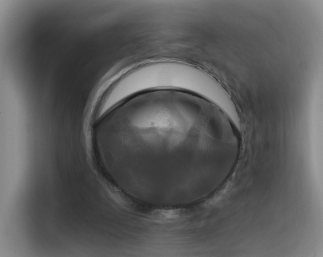 X0000114610295200910201158