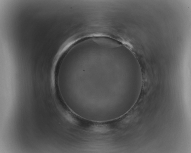 X0000114610296200910201158