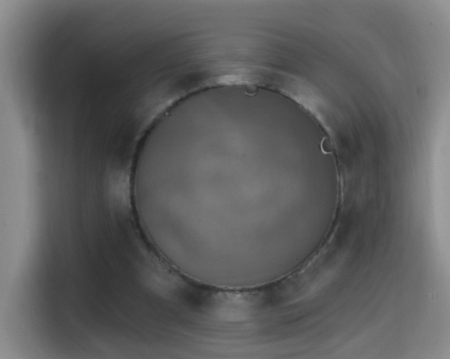 X0000114610297200910201158