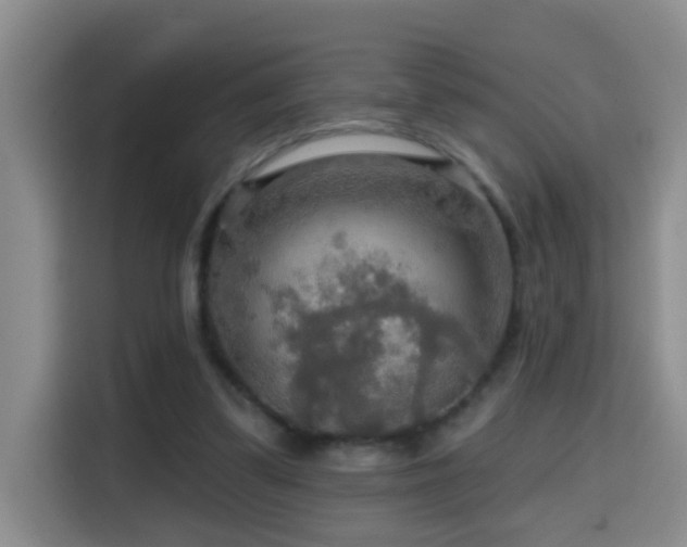 X0000114610299200910201158