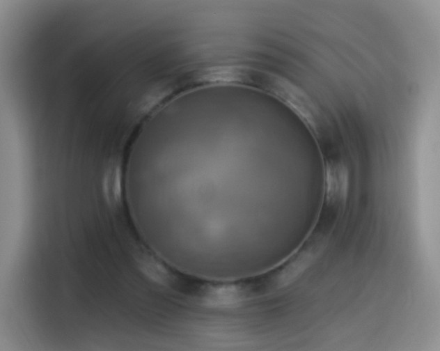 X0000114610301200910201158