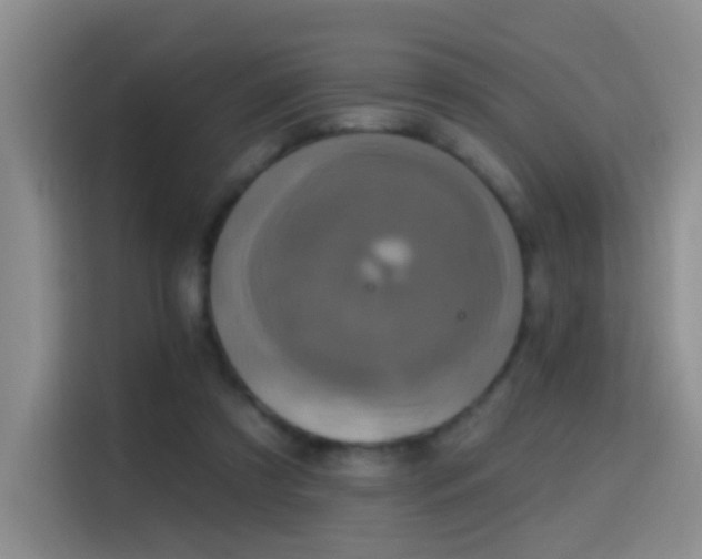 X0000114610305200910201158