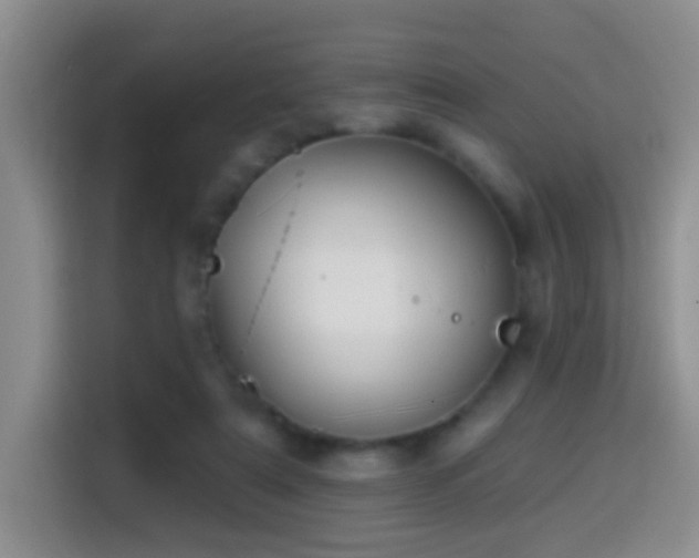 X0000114610307200910201158