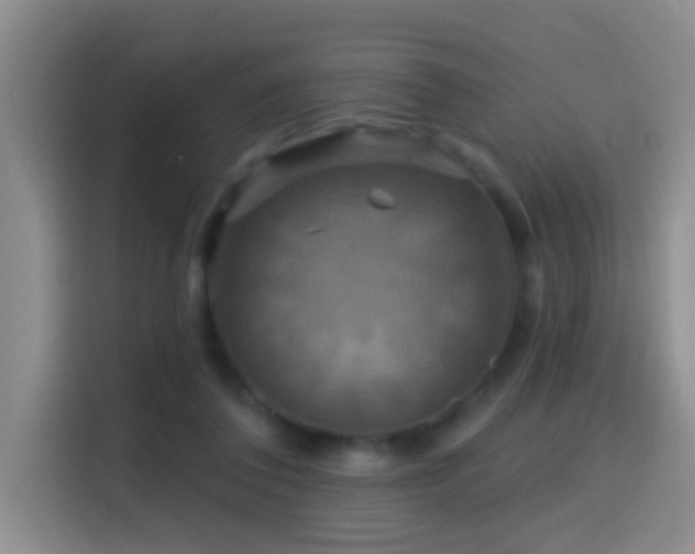 X0000114610308200910201158