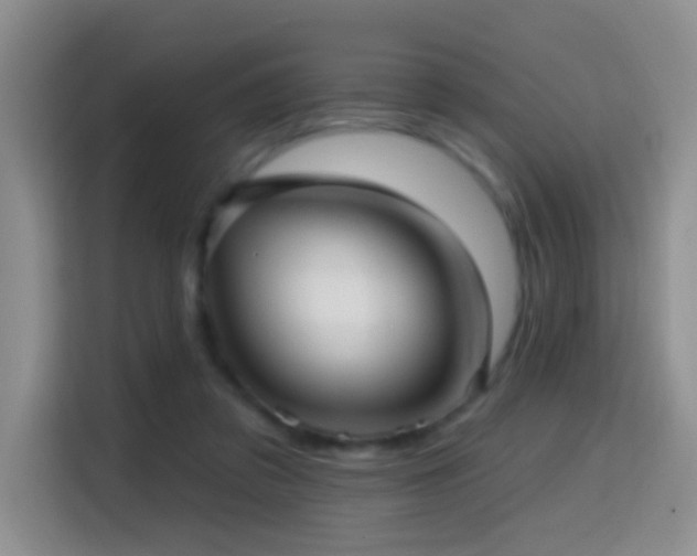 X0000114610309200910201158