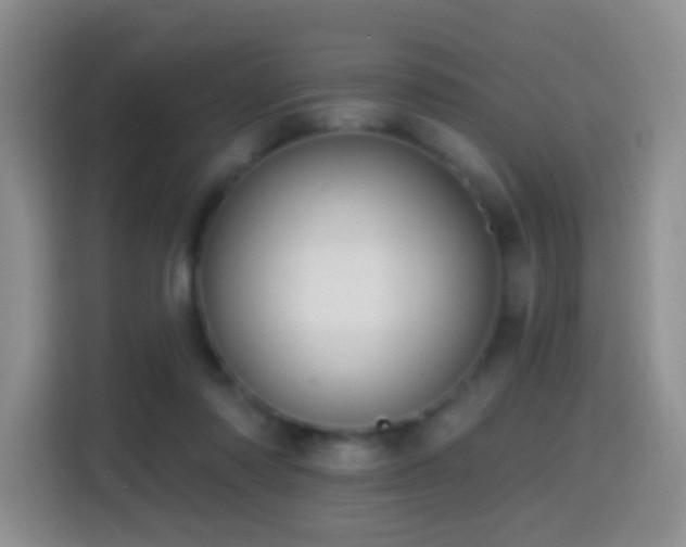 X0000114610310200910201158